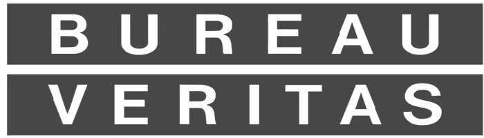 Bureau Veritas_logo_light